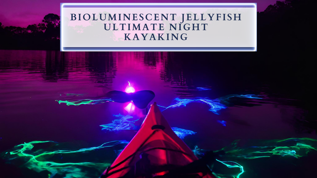 Bioluminescent Jellyfish in Titusville - Your Ultimate Night Kayaking Experience