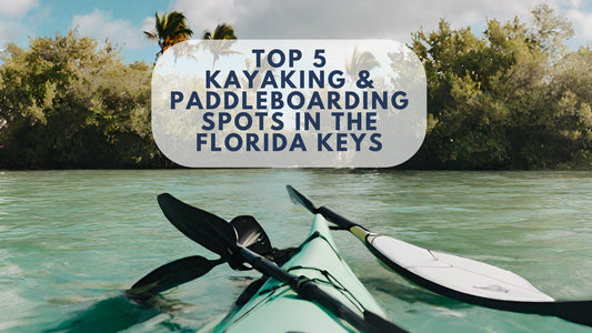 Top 5 Kayaking and Paddleboarding Spots in Florida Keys