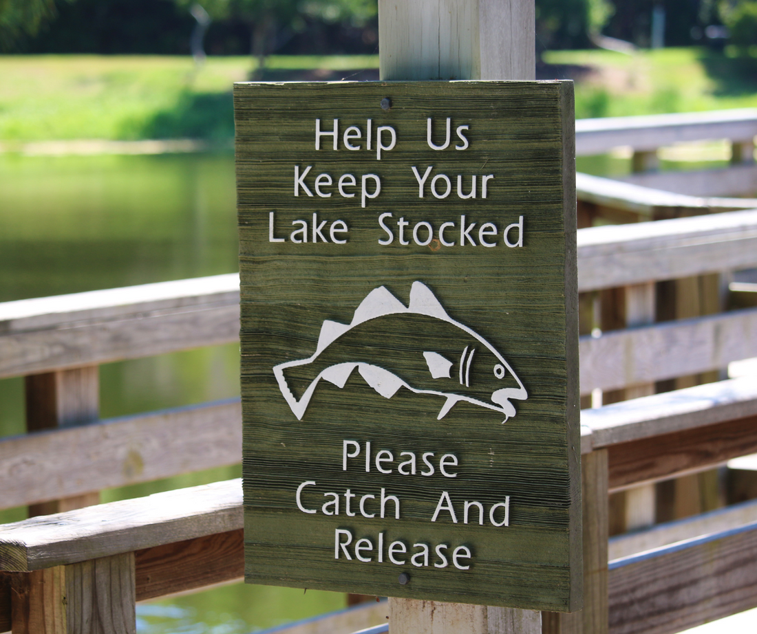 Best Practices for Catch and Release Fishing