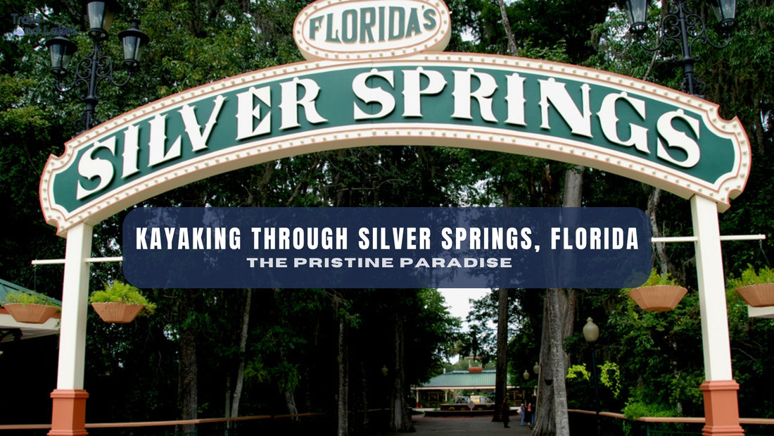 Kayaking Through the Pristine Paradise of Silver Springs, Florida