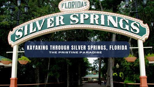 Kayaking Through the Pristine Paradise of Silver Springs, Florida