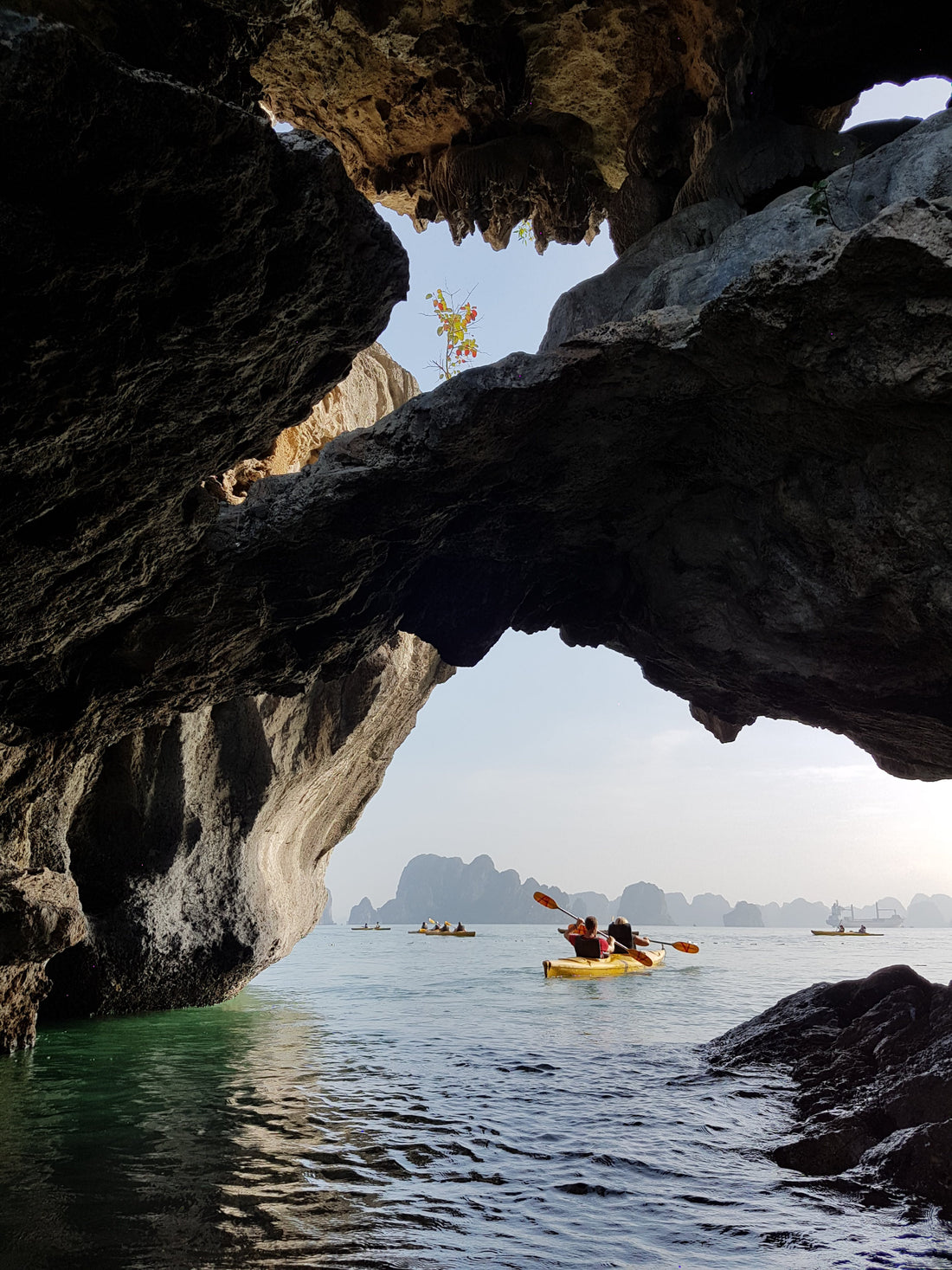 Exploring Alabama's Nocturnal Wonders: Kayaking with Bats in Alabama